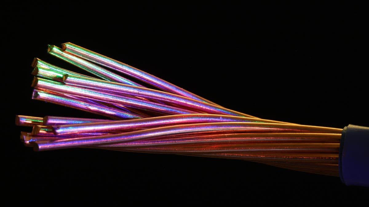 Işık taşıyan fiber optik lifler